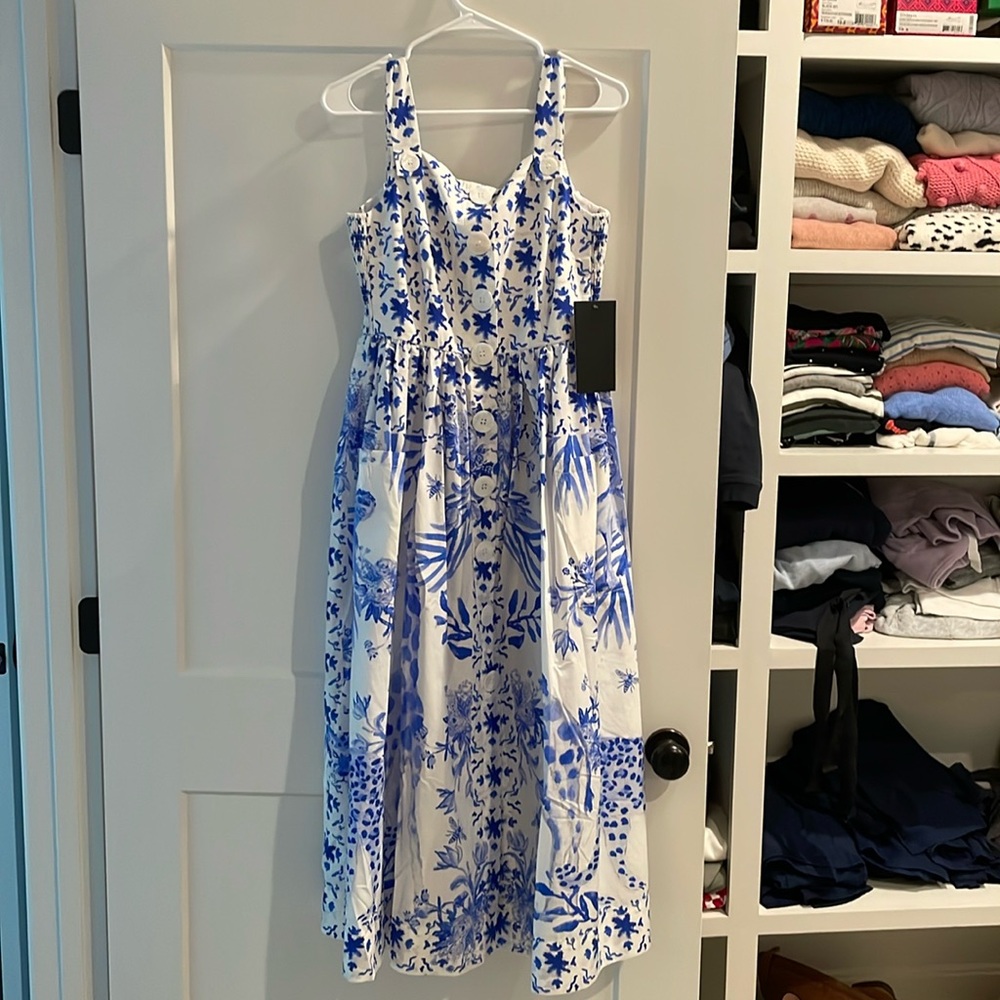 Tuckernuck animal print dress